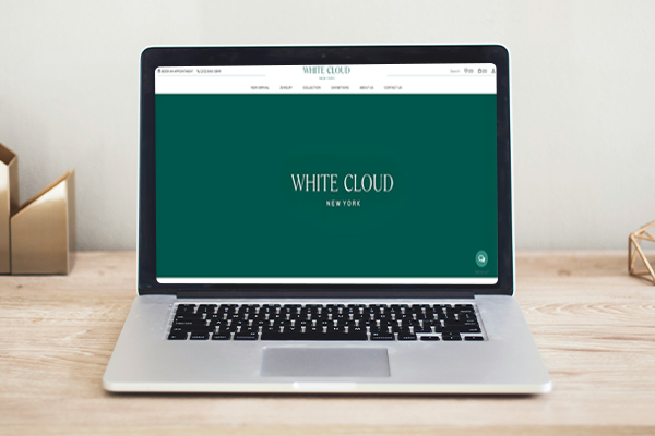 Special Features Image